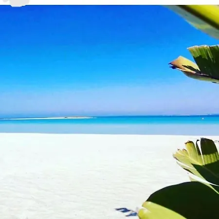 Summer Sant Isidoro (Apulia)